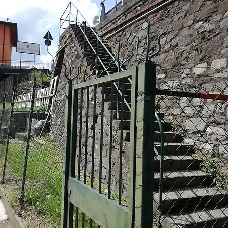 Guest house Plinio 3*
