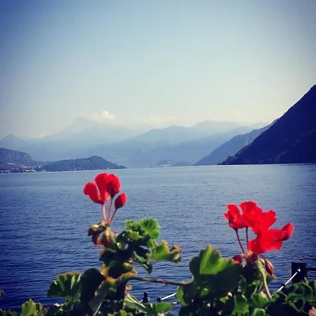 Guest house Plinio 3*